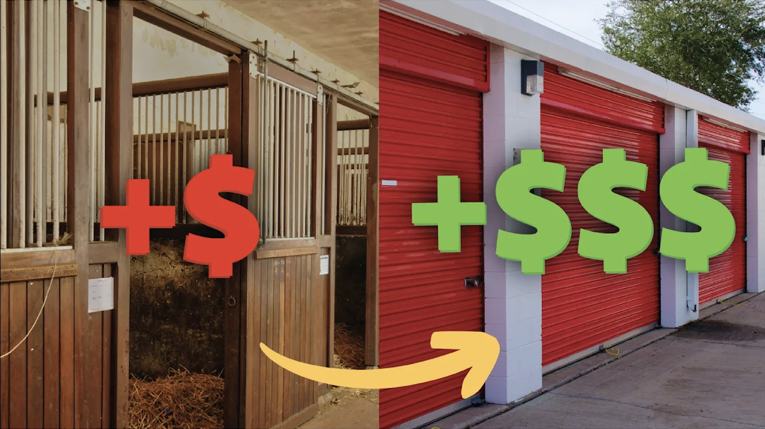 From Horse Stalls to Storage Halls: An Entrepreneur's Journey